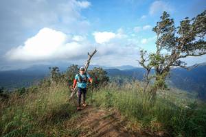 BIB: 
                            <button type="button" onclick="openModal(22373605)" class="btn btn-primary btn-sm float-right btn-popup" data-toggle="modal" data-target=".modal-high-quality">
                        <i class="fas fa-shopping-cart"></i> Add to Cart
                    </button>
                                            <button type="button" onclick="isThisMe(22373605, true)" class="btn btn-success btn-sm float-right btn-popup btn-isme hidden" data-toggle="tooltip" data-placement="bottom" title="นี่คือรูปของคุณใช่ไหม คลิกที่นี่เพื่อเอาเข้าอัลบั้ม">
                        <i class="fas fa-plus"></i> Add to album
                    </button>
                    <button type="button" onclick="isThisMe(22373605, false)" class="btn btn-warning btn-sm float-right btn-popup btn-isnotme hidden">
                        <i class="fas fa-ban"></i> Remove from album
                    </button>